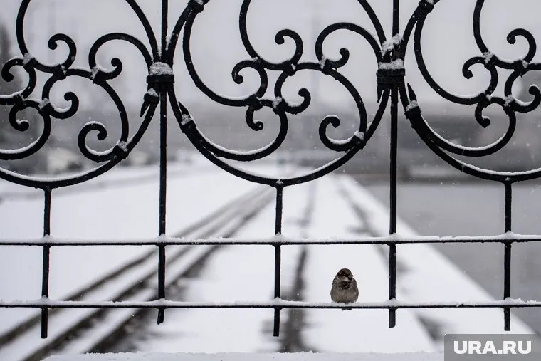 Температура будет варьироваться от -16 до -10 градусов