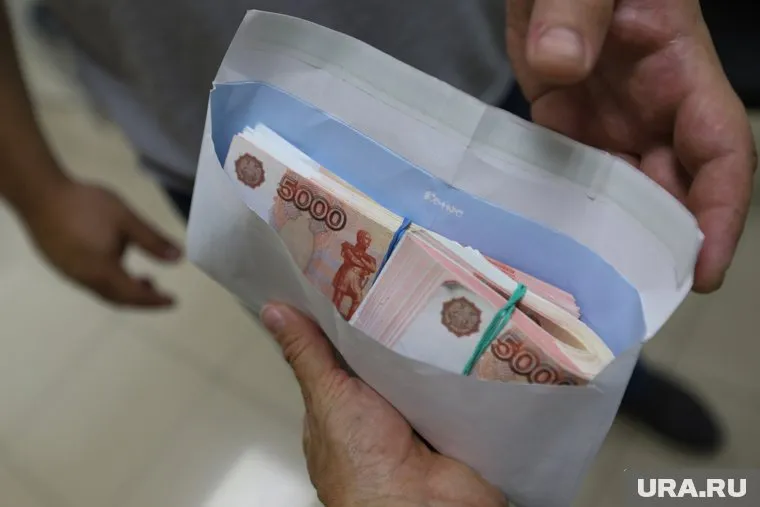 В Курганской области за год выявили 285 коррупционных преступлений, в том числе взятки, мошенничество и растраты