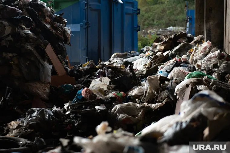 Свалки — одна из самых больных тем, браться за нее на третьем этаже мэрии не хотел никто