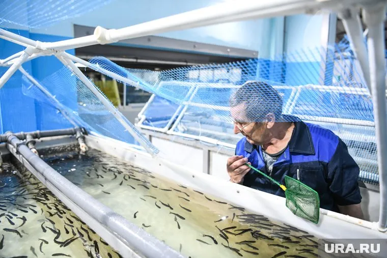 Ученые проведут исследования комплексно