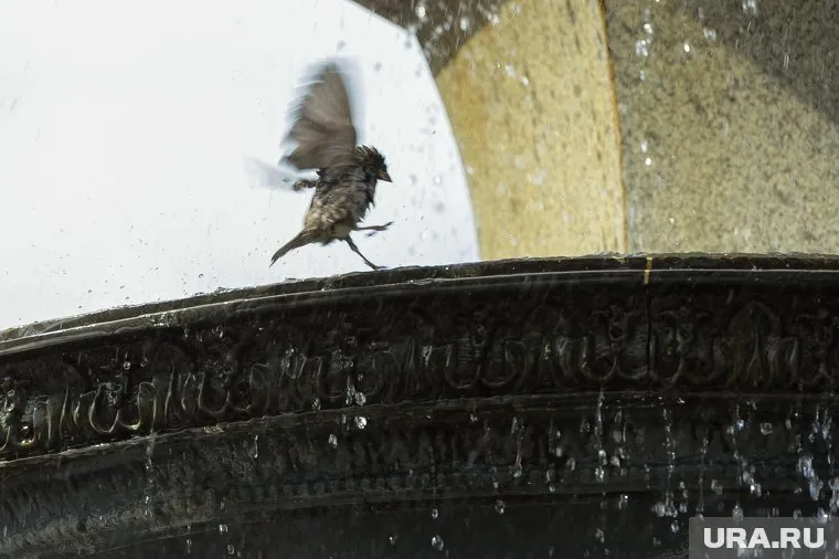 Жизнь горожан. Челябинск