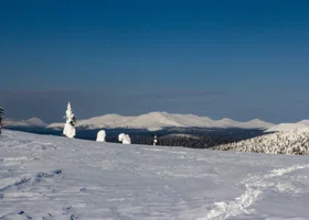 За снегом пермякам придется ехать в горы