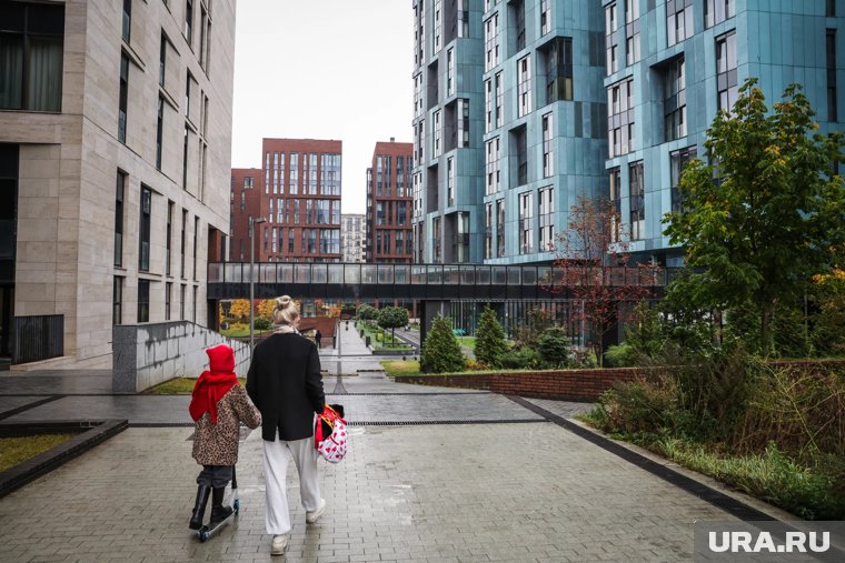 В правительстве приняли меры против «эффекта Долиной»