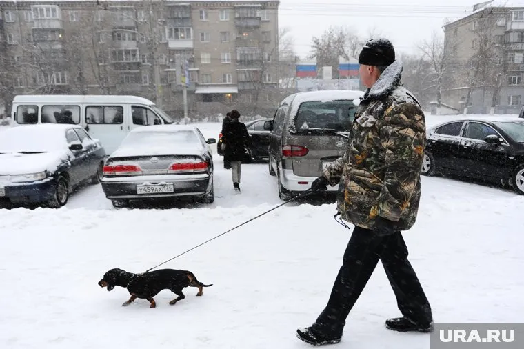 За снегопадами и аномальными холодами челябинцев ждет теплая январская неделя