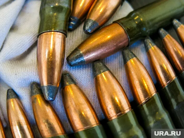У жительницы Кургана нашли восемь патронов (архивное фото)