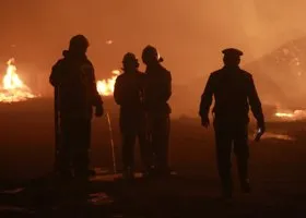 В фейках о тюменских поджигателях заметили след спецслужб ВСУ