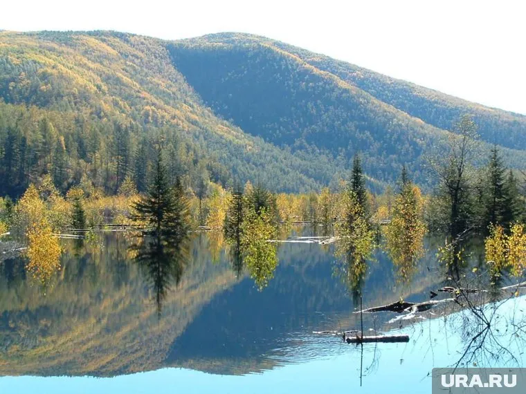 Россия «захватила» Амурскую область, говорится в учебнике