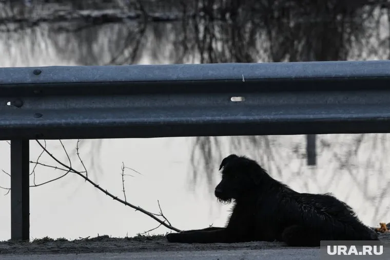 В Курганской области ждут новых заморозков