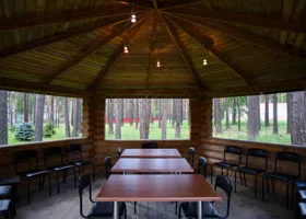 В пригороде Перми продается бывший пионерлагерь по цене элитной квартиры