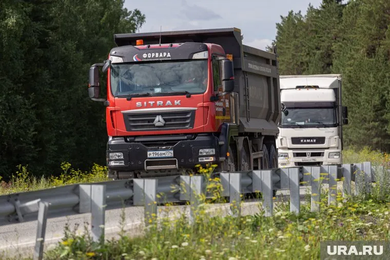 Полиция проведет проверку обстоятельств истории с умирающим на глазах инспекторов водителем