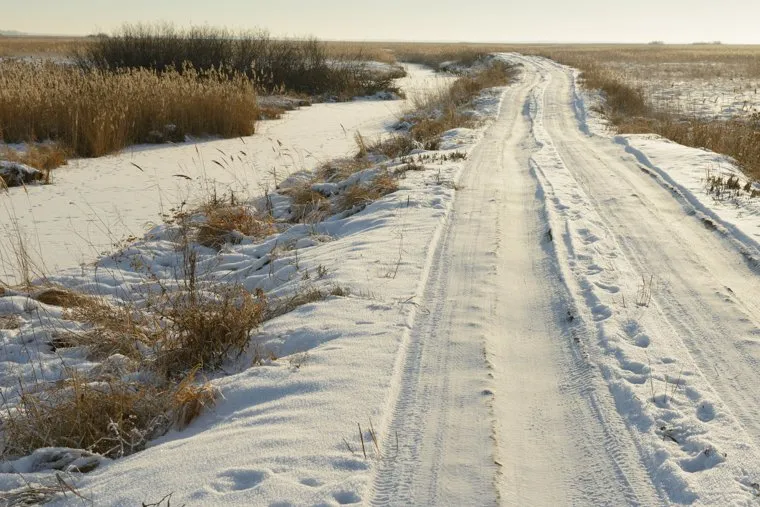 Егерь охотничьего хозяйства "Коклан" Ихтиандр Шарипов и дорога через камыши. Челябинская область, зимняя дорога, охотничье хозяйство коклан