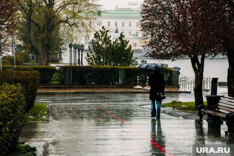 Осадки ожидаются почти на всей территории области