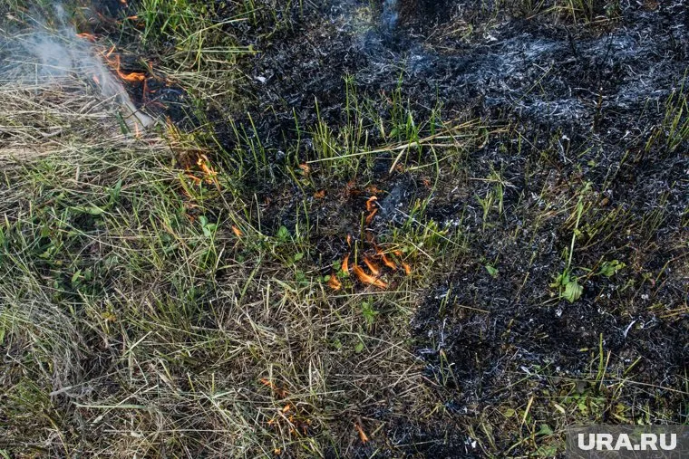 Пожарные выехали на место