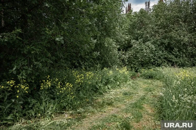 Мужчина пропал в лесу в вечернее время