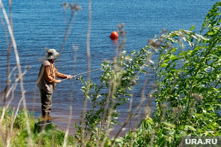 Рыбу в четырех водоемах нельзя ловить до 15 июня из-за нереста