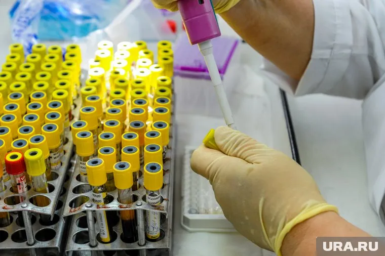 Иммунолог отметил, что в ковидный период маски и дистанцирование хорошо предотвращали рост заболеваемости коклюшем