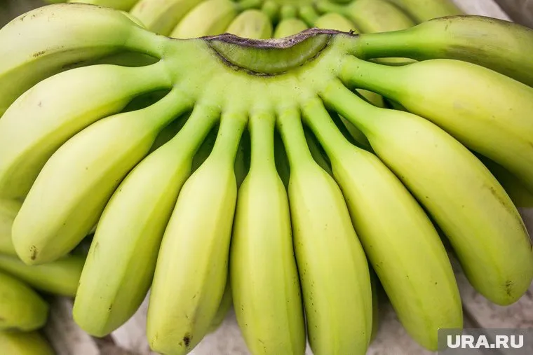 В составе зеленых бананов содержится резистентный крахмал, который снижает риск развития рака пищевода