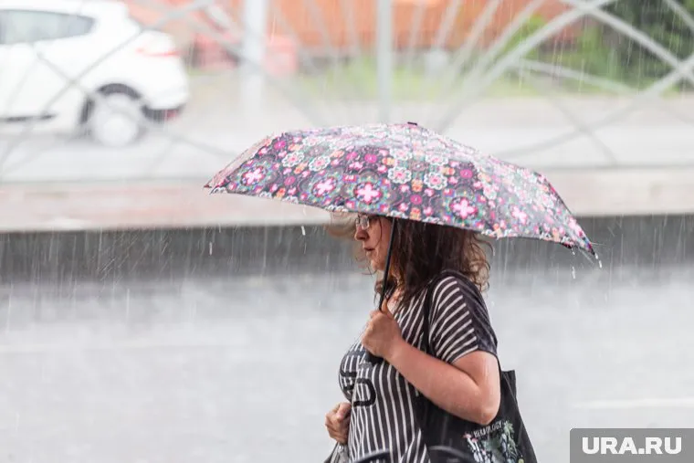 Синоптики пообещали челябинцам дождливое начало лета
