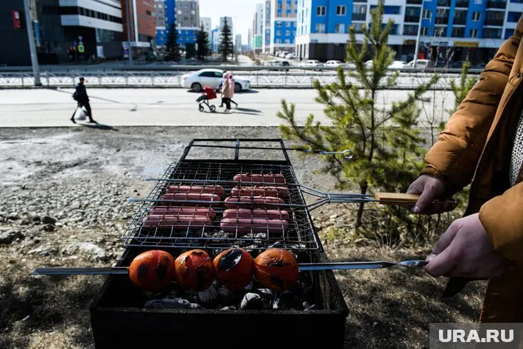 Вместо самоизоляции россияне отправились на шашлыки