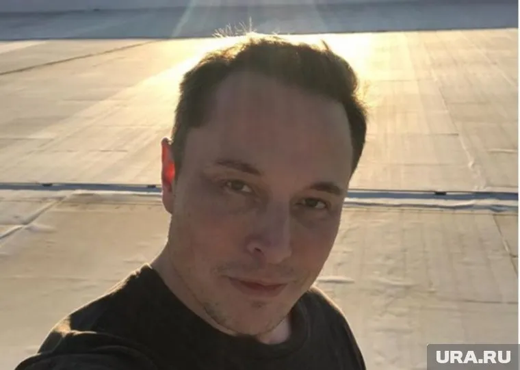 Илону Маску придется доказать законность своих сообщений в Сети