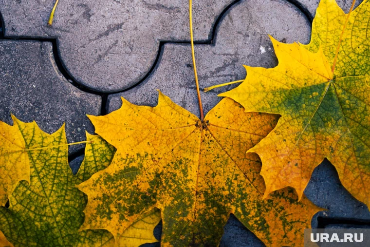 В Курганской области ожидается потепление