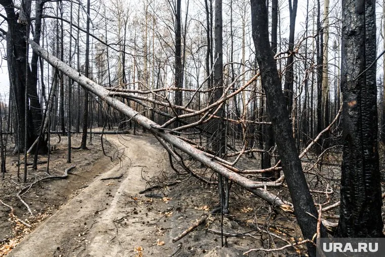 За сутки в регионе потушили 15 пожаров