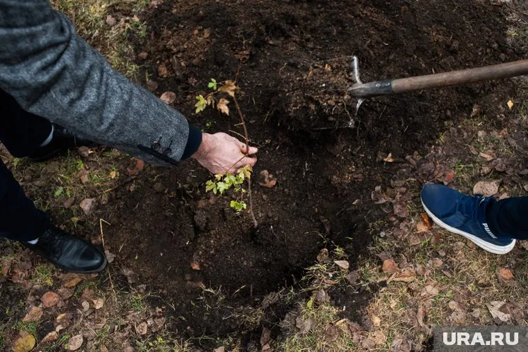 Тело убитой женщины увезли и закопали в безлюдном месте (архивное фото)