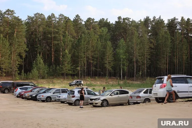 Жители не смогут попасть в леса Кургана и Шадринска