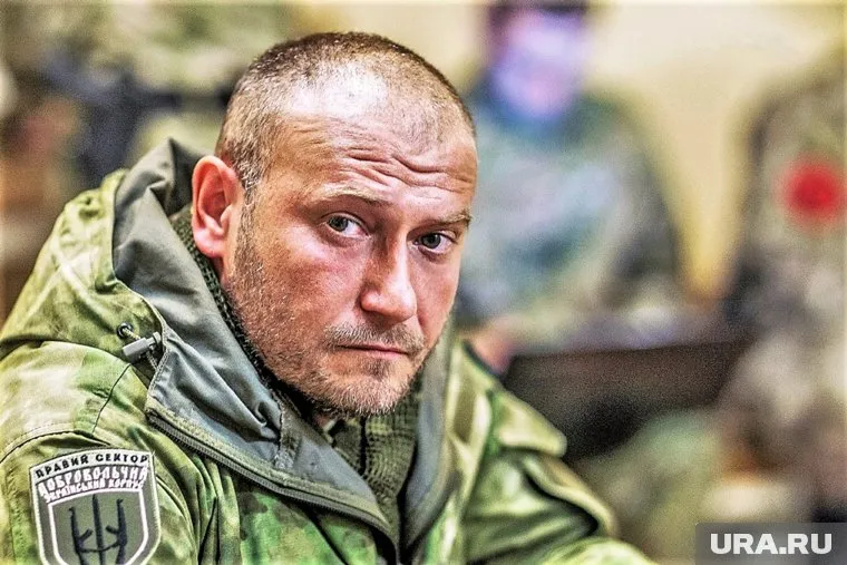 Отряды Яроша займутся созданием «групп территориальной обороны»