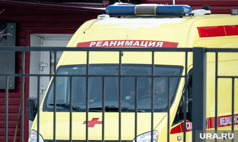 Врачи Нижневартовска спасли жизнь подростку, которого укусила гадюка