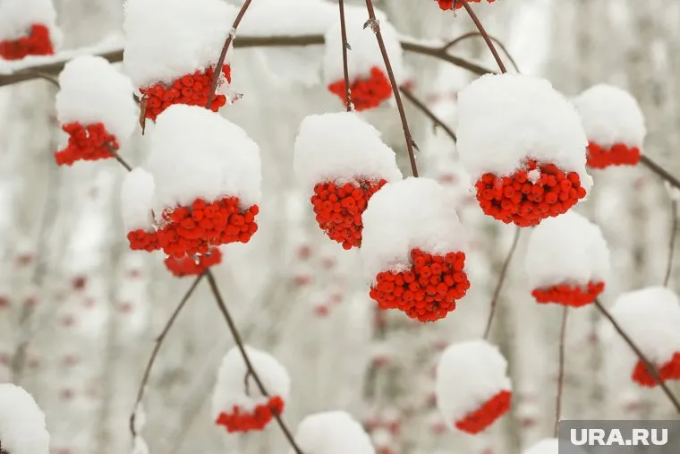 Синоптики рассказали, что в регион придет тепло
