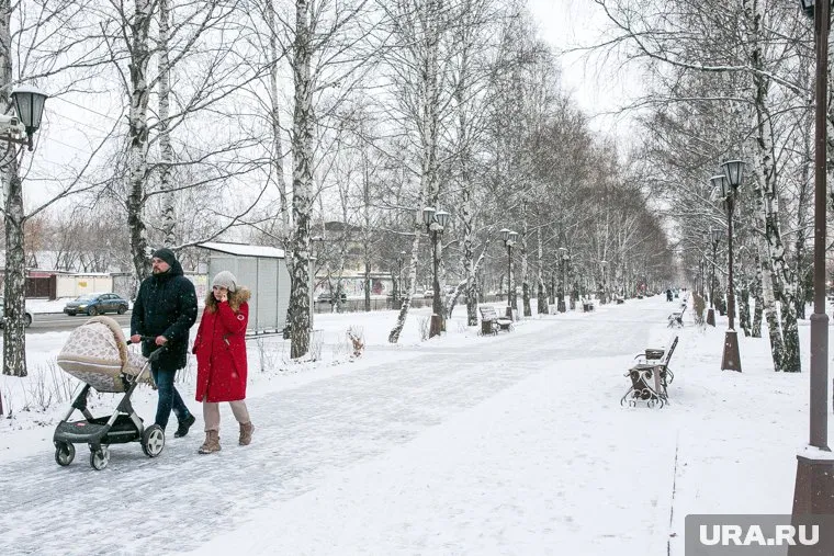 Маткапитал, отложенный на накопительную пенсию, предлагают забирать из пенсионного фонда
