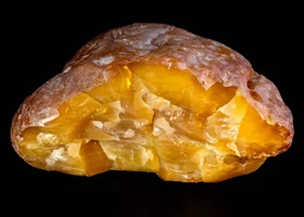 В Калининграде выкопали гигантский янтарный самородок