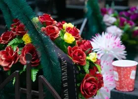 Фотография из галереи