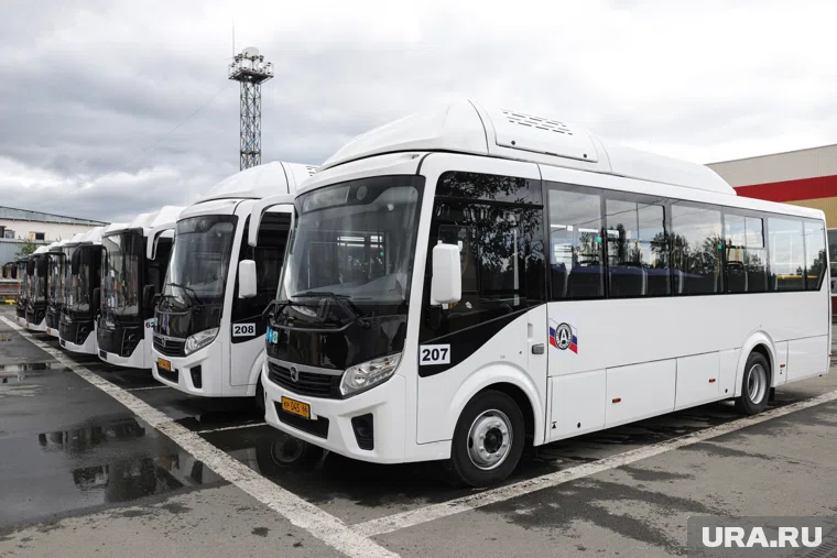 Всего было закуплено 10 автобусов