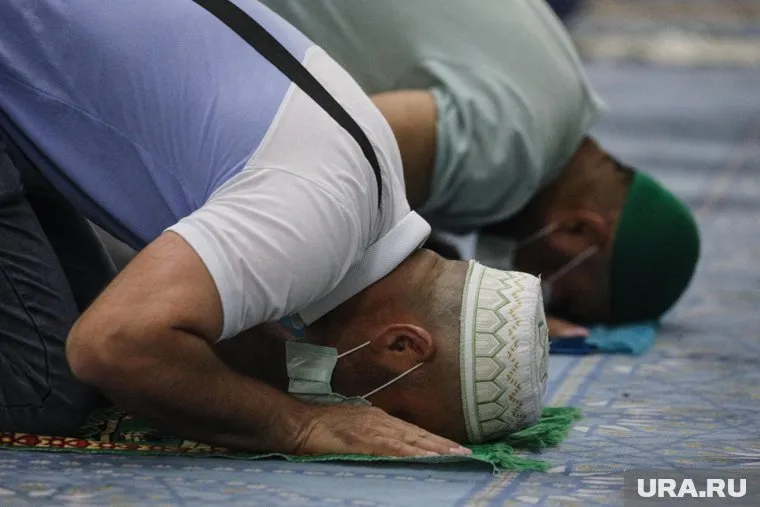 ФАДН видит решение проблемы в усилении разъяснительной работы