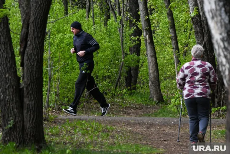 Спорт помогает защитить печень от болезней