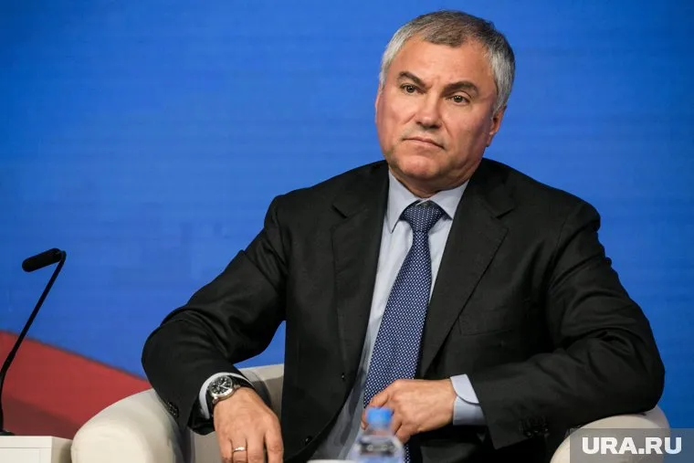 Володин заявил о конфискации активов европейских стран