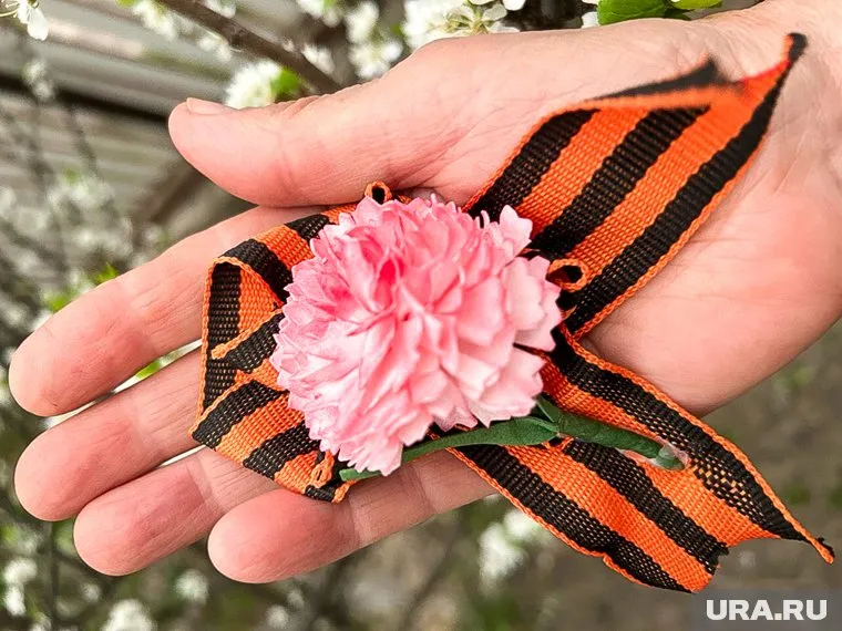 Водитель добровольно сдал георгиевскую ленту, пишет ERR