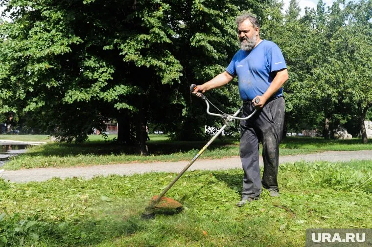 Цуканов раскритиковал градоначальника за нескошенную траву