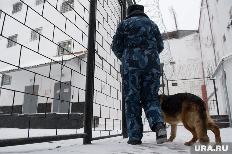 У арестованного Сергея Логинова следов побоев не нашли