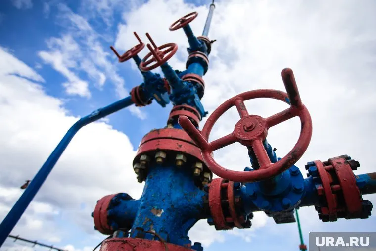 В Иране ожидают рост поставок российских нефти и газа, заявил Эхсан Хандузи
