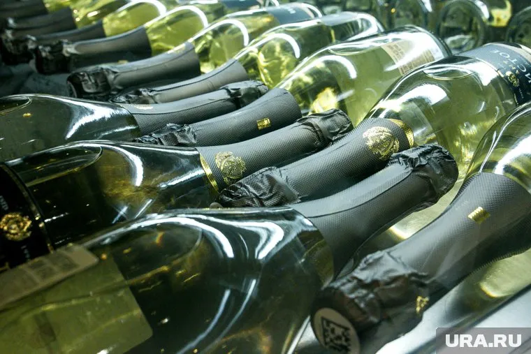 Совфед предлагает внести поправки в законопроект «О гражданстве Российской Федерации»