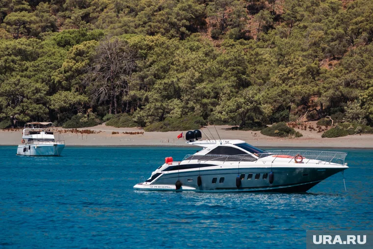 Российских туристов на Филиппинах атаковали ядовитые сальпы