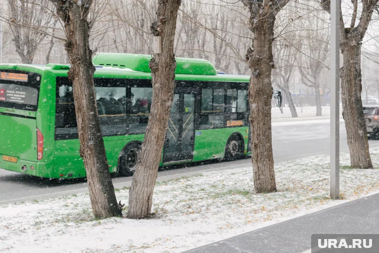 Нетрезвого водителя автобуса в Челябинске выявили госавтоинспекторы (архивное фото)