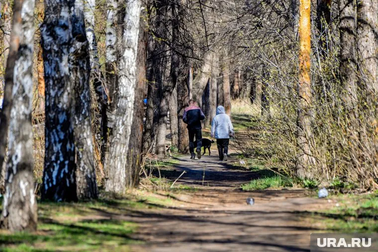 В свои длинные выходные половина горожан никуда не поедет дальше загородных дач