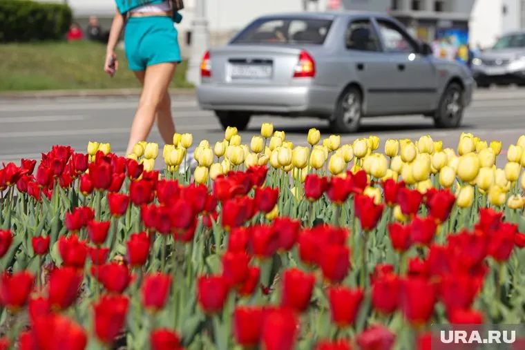 Метеорологи прогнозировали, что лето в регионе будет теплым