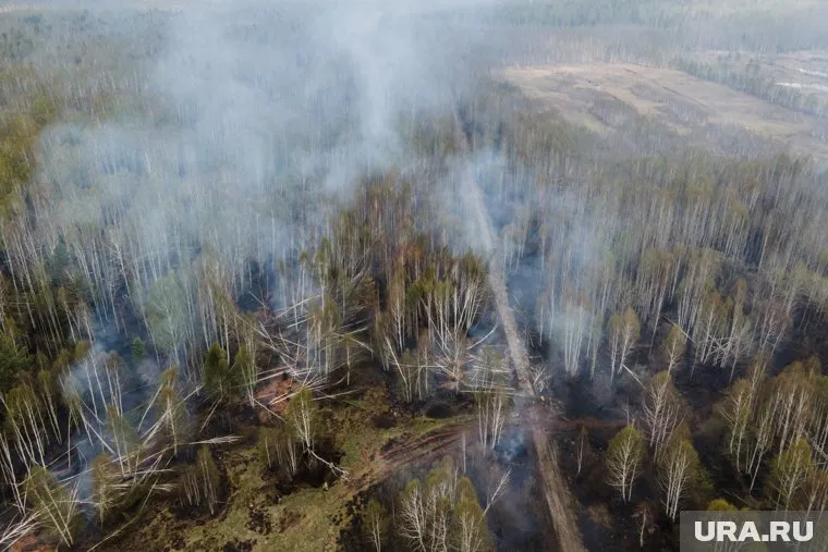 Последние очаги возгорания были ликвидированы несколько дней назад