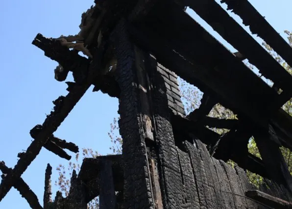 Фотография из галереи