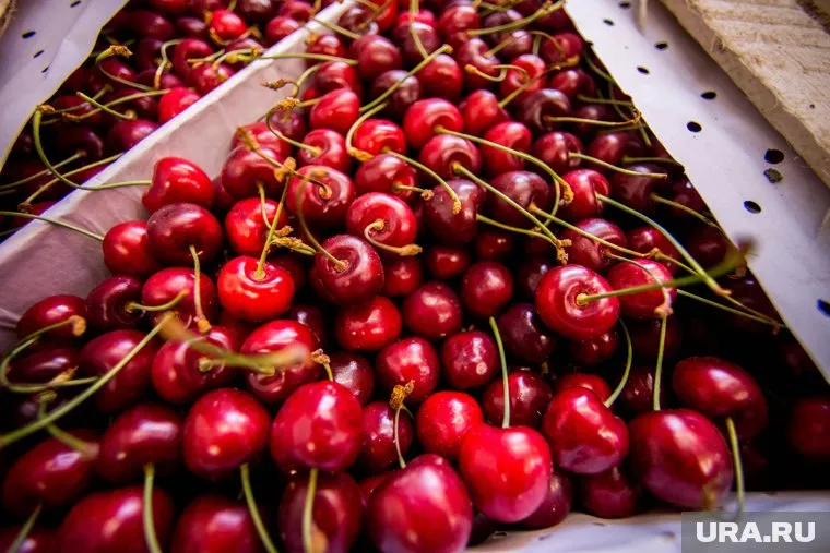 Заметнее всего в продуктовых Тюмени подорожала черешня 